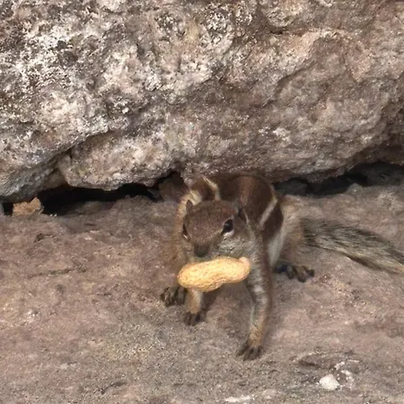 Casa Izabell * Costa Calma