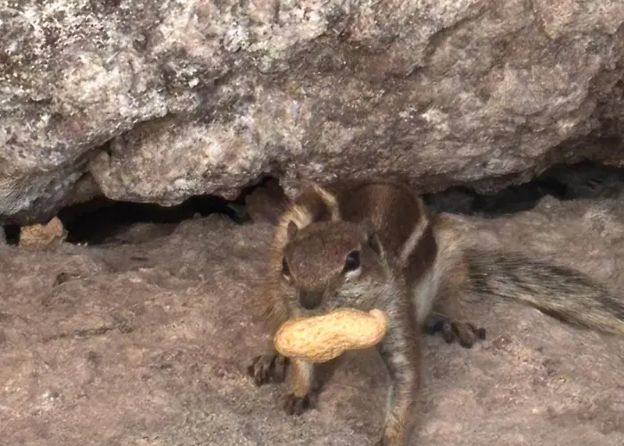 Casa Izabell * Коста Калма